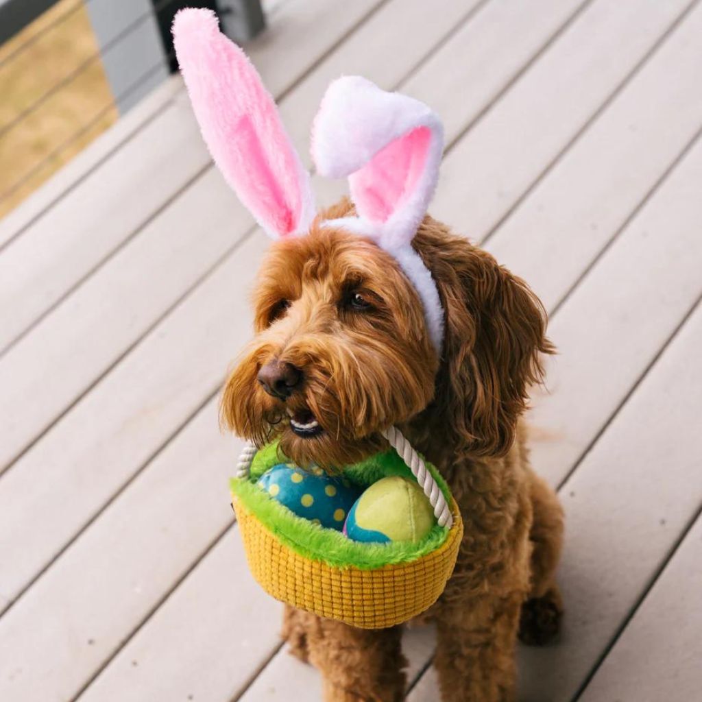 P.L.A.Y. Hundespielzeug Ostern - nachhaltiges Osterkörbchen - Fairtails