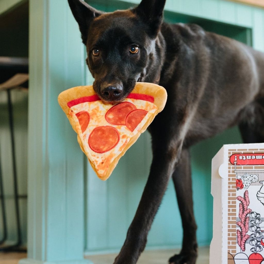 P.L.A.Y Hundespielzeug Pizza Puppy-Roni - Lustiges, nachhaltiges Hundespielzeug bei Fairtails
