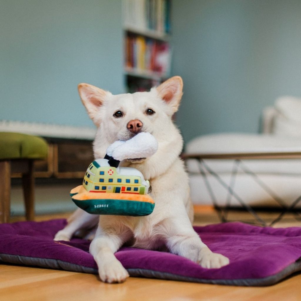 P.L.A.Y. Hundespielzeug Sidney Ferry - nachhaltiges Hundespielzeug bei Fairtails 