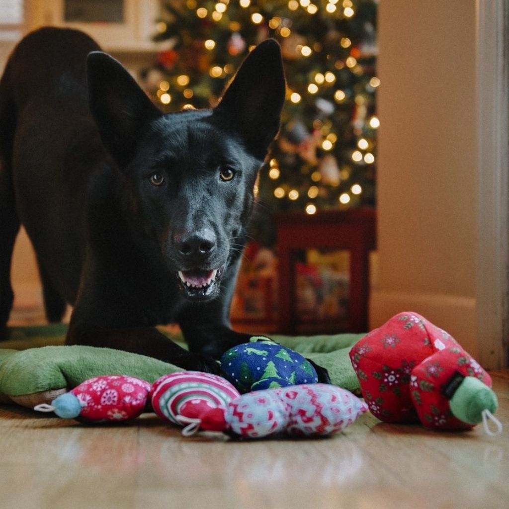 P.L.A.Y. Hundespielzeug Weihnachtsspielzeug Santas Little squeakers Hund bei Fairtails