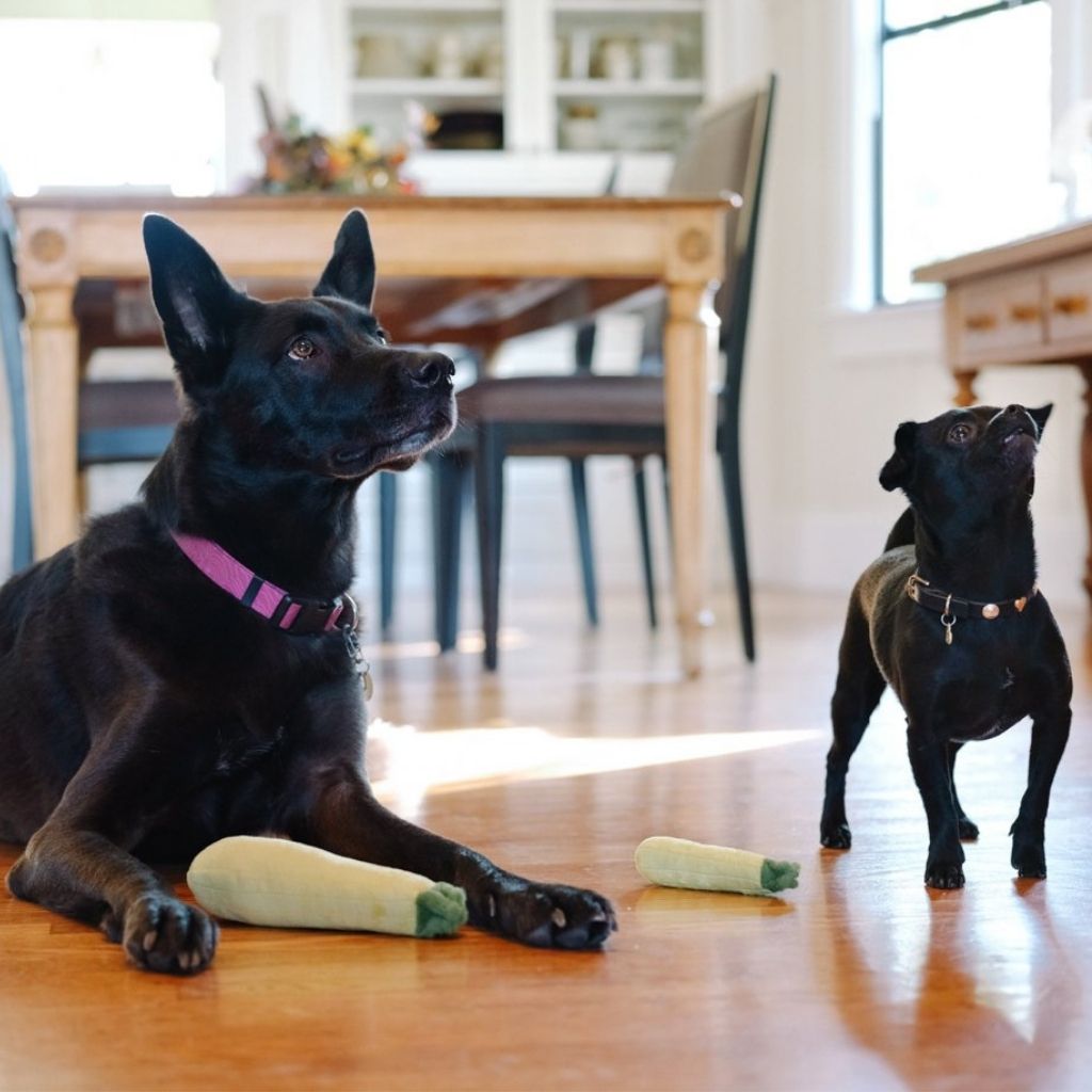P.L.A.Y. Hundespielzeug Zucchini - nachhaltiges Hundespielzeug bei Fairtails