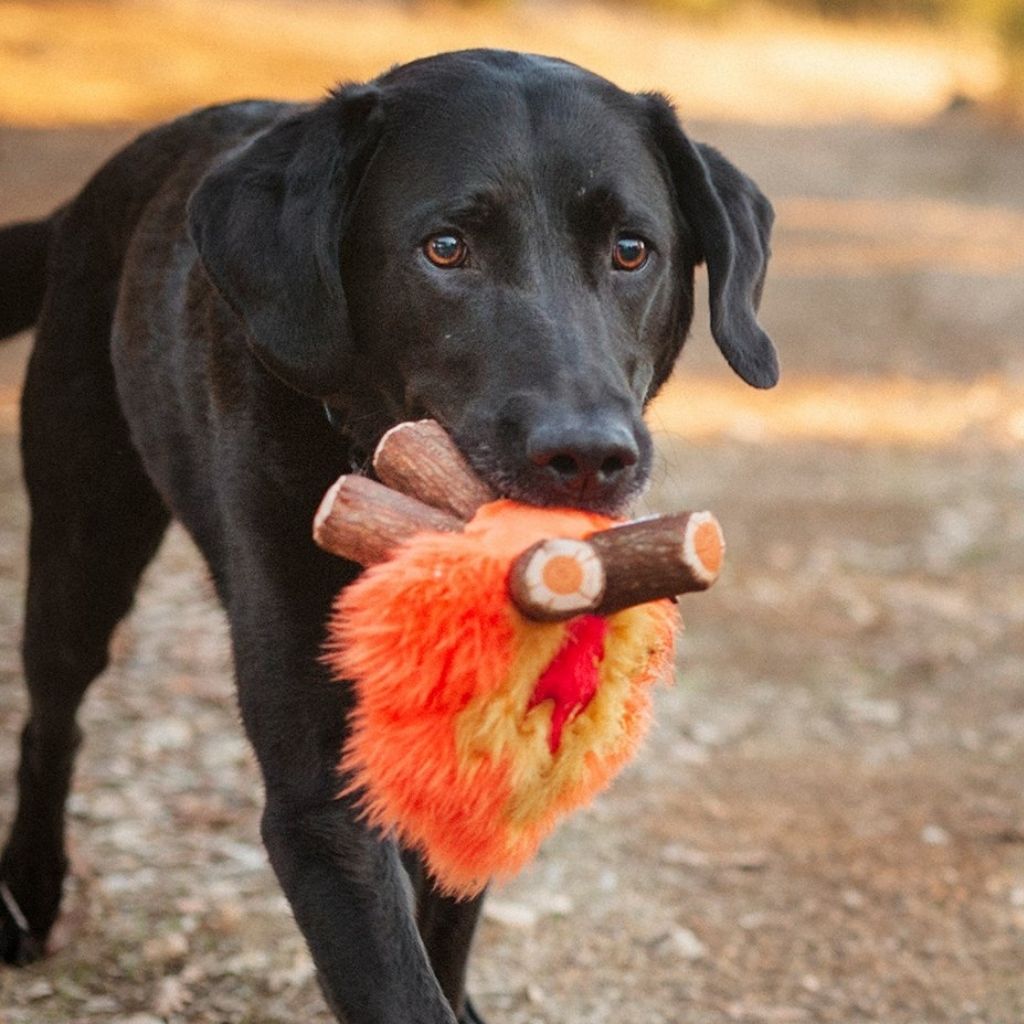 P.L.A.Y. Hundespielzeug Lagerfeuer- nachhaltiges Hundespielzeug bei Fairtails