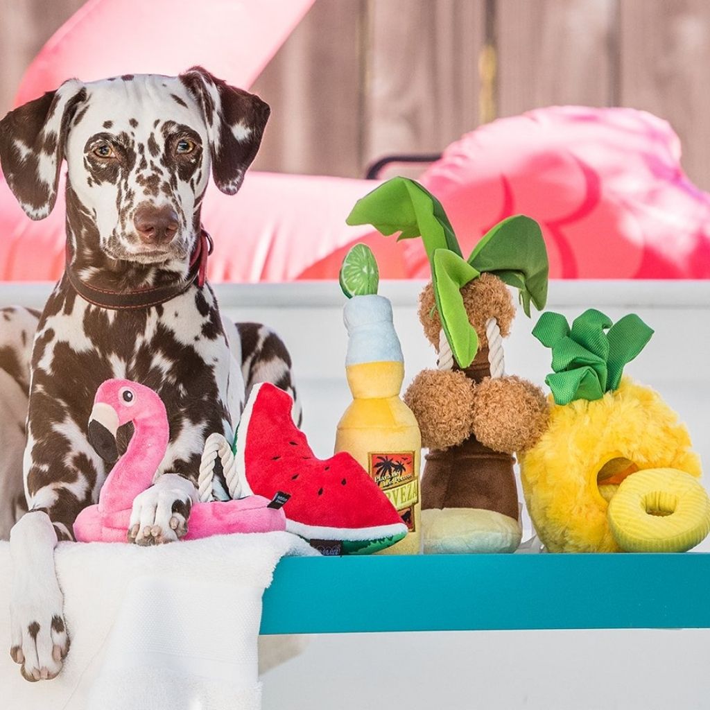 P.L.A.Y. Hundespielzeug Wassermelone- nachhaltiges Hundespielzeug bei Fairtails