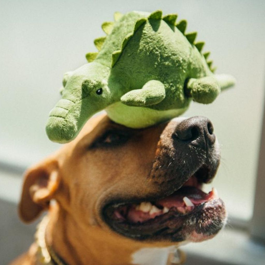 P.L.A.Y. Hundespielzeug Krokodil "Cody" - nachhaltiges Hundespielzeug FairTails