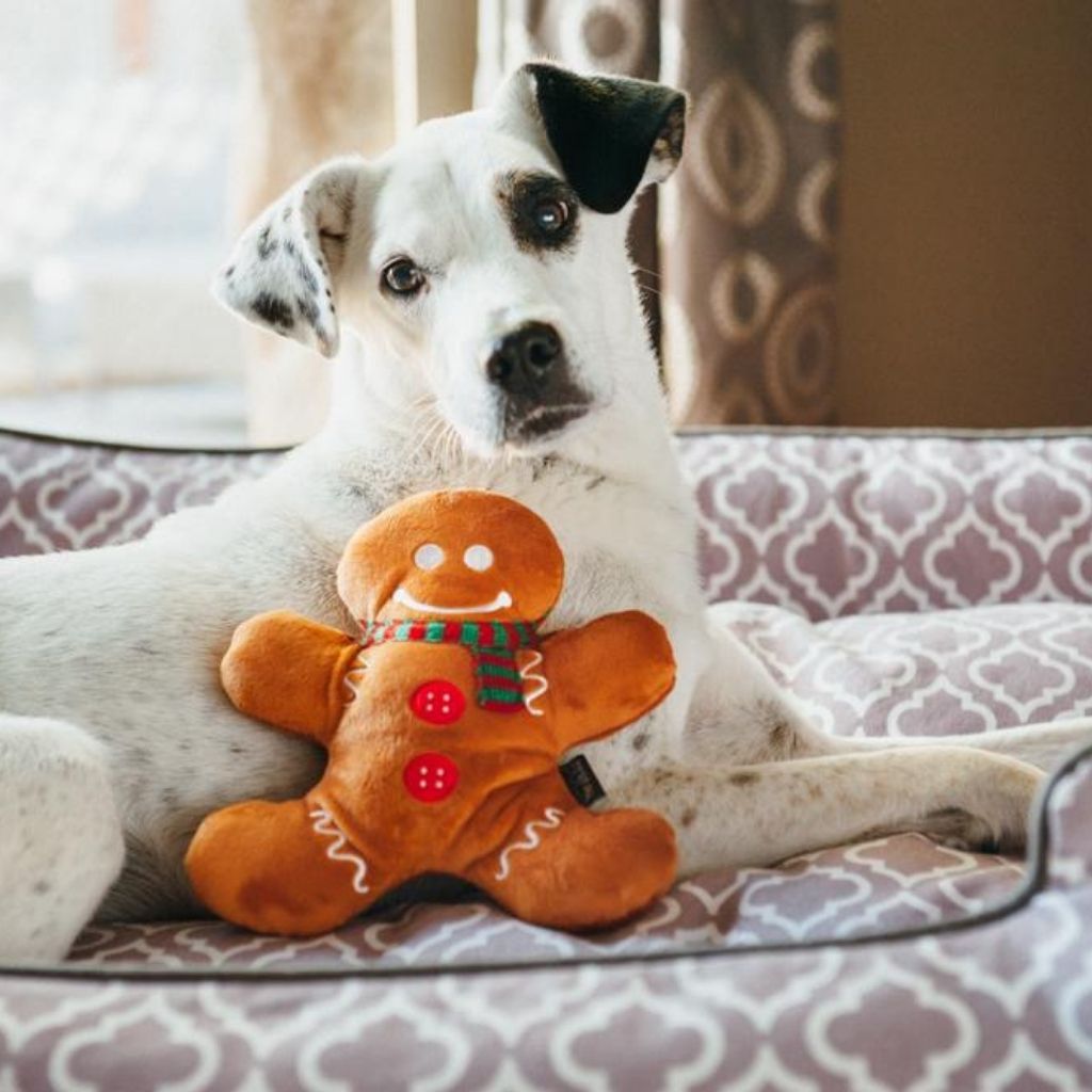 P.L.A.Y. Weihnachtsspielzeug für Hunde bei Fairtails - Lebkuchenmann Gingerbread Man