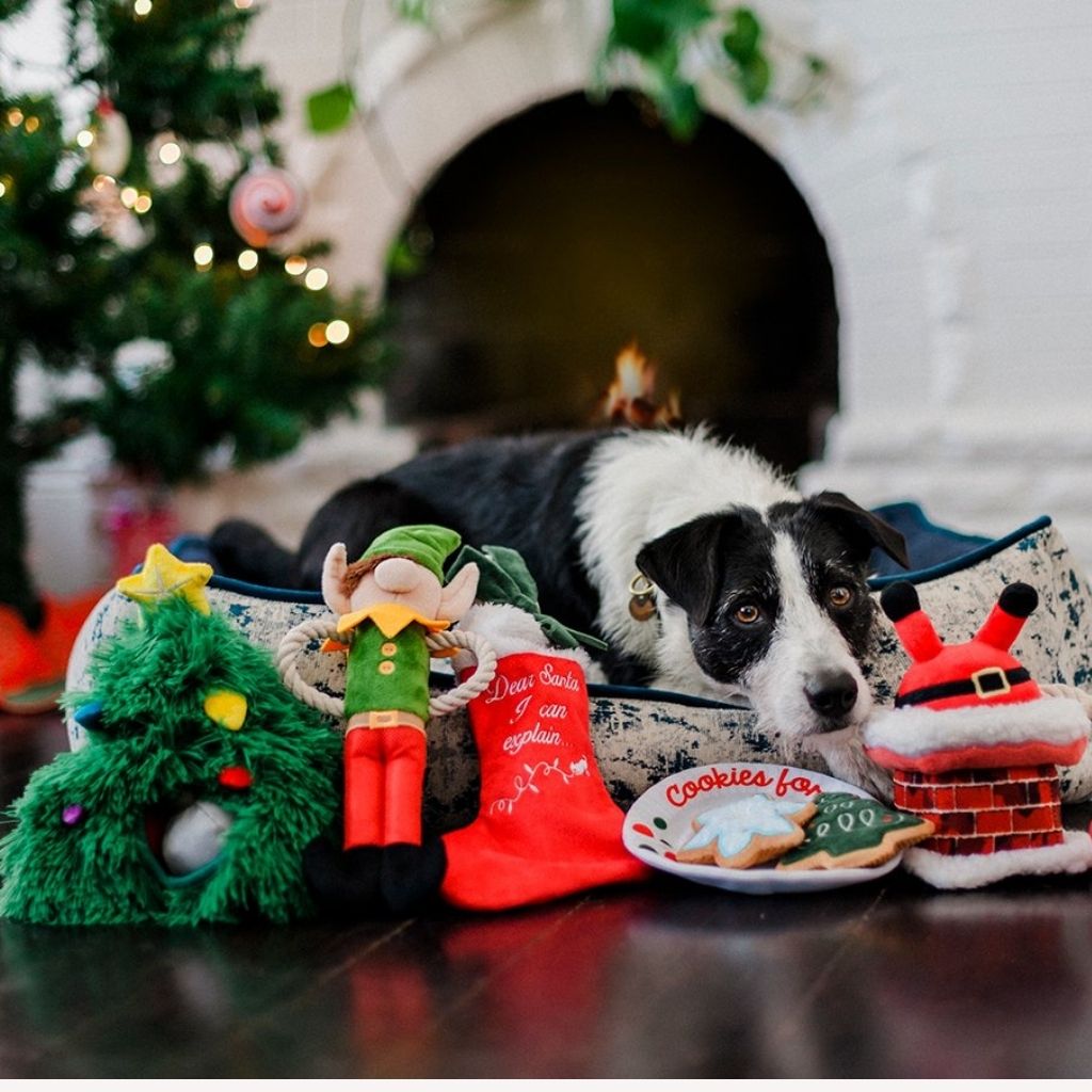 P.L.A.Y. Weihnachtsspielzeug Christmas Eve Cookies für Hunde bei Fairtails