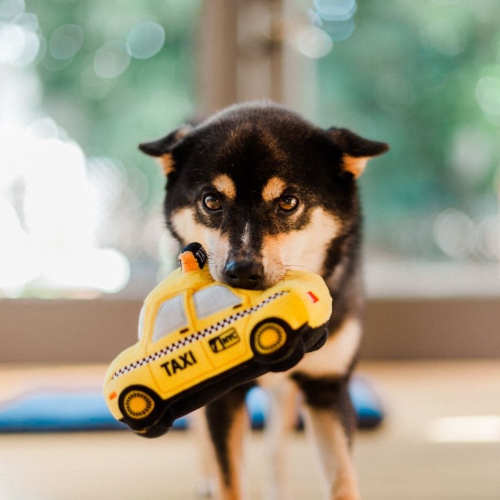 P.L.A.Y. Hundespielzeug New York Taxt - nachhaltiges Hundespielzeug bei Fairtails .