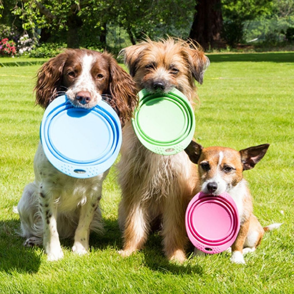 Beco Pets Reisenapf Grün Beco Travel Bowl - nachhaltige Hundeprodukte bei FairTails