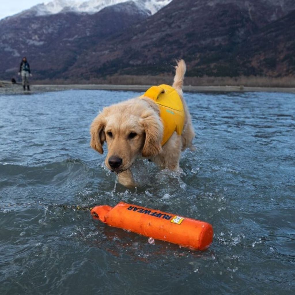 Ruffwear Lunker - nachhaltiges Hundespielzeug bei Fairtails - Wasserspielzeug für Hunde