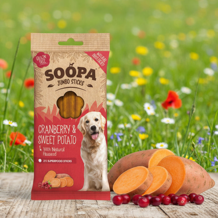 Soopa Jumbo Dental Sticks Cranberry Sweet Potato vegane Kausnacks Hund - Fairtails