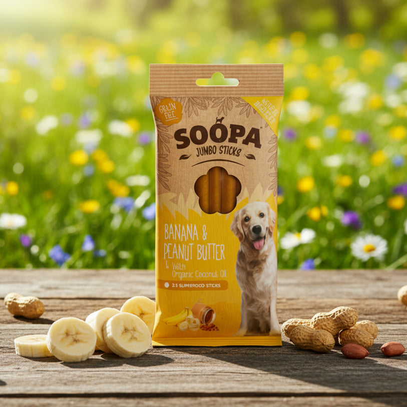 Soopa Jumbo Stick Banane Erdnussbutter - vegane Kauartikel Hund Fairtails