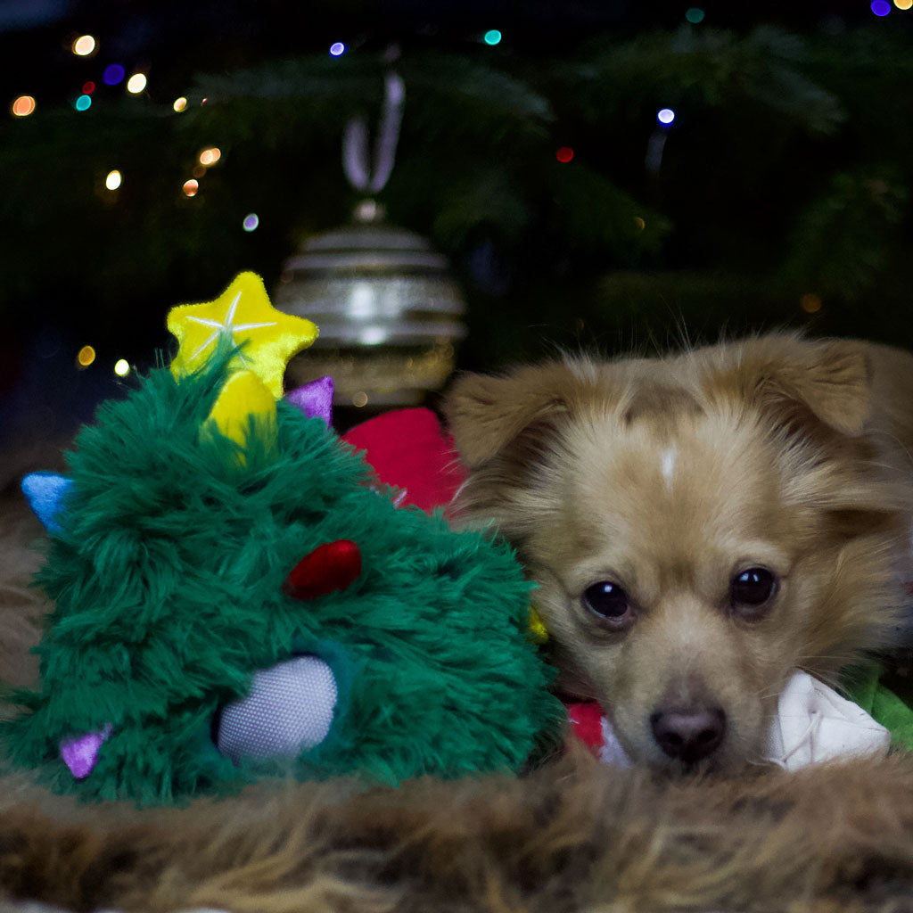 P.L.A.Y. Weihnachtsspielzeug Weihnachtsbaum für Hunde bei Fairtails