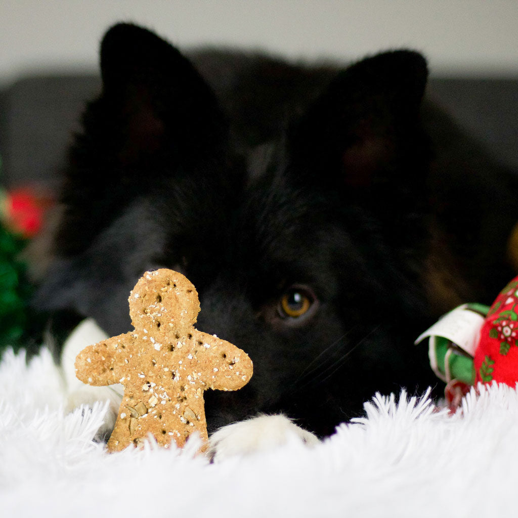 Weihnachtsprodukte für Hunde bei Fairtails